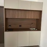Da Vinci